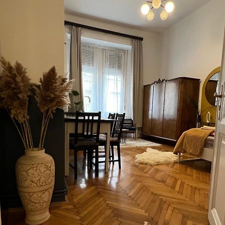 Rustic Apartment In Downtown Of بودابست المظهر الخارجي الصورة